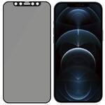 Szkło ochronne PanzerGlass Edge-to-Edge Privacy Antibacterial na Apple iPhone 12 Pro Max (P2712) Czarne