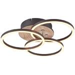 Downlight LED Reality Circle (RE R62823135) Drewno