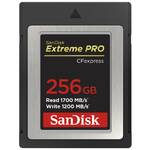Karta pamięci SanDisk Extreme Pro CFexpress 256GB, (1700R/1200W), Type B (SDCFE-256G-GN4NN)
