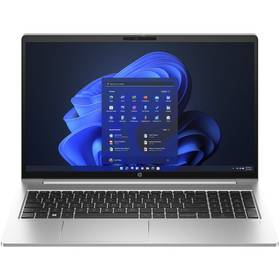 HP ProBook 455 G10 (817Z8EA#BCM) stříbrný