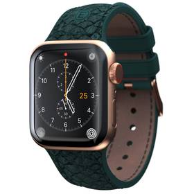 Njord Jord na Apple Watch 42/44/45/49mm (SL14122) zelený