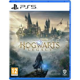 Hra Warner Bros PlayStation 5 Hogwarts Legacy (5051895413425)