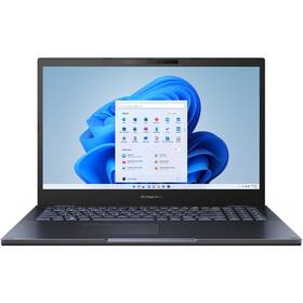 Asus ExpertBook L2 (L2502CYA-BQ0151X) černý
