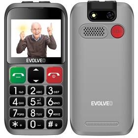 Evolveo EasyPhone EB (EP-850-EBS) strieborný