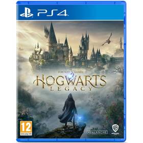 Warner Bros PlayStation 4 Hogwarts Legacy (5051895413418)