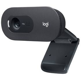 Kamera internetowa Logitech C505 HD (960-001364) Czarna