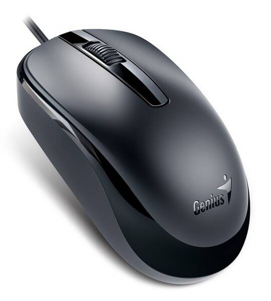 Myš Genius DX-120 (31010105106) čierna