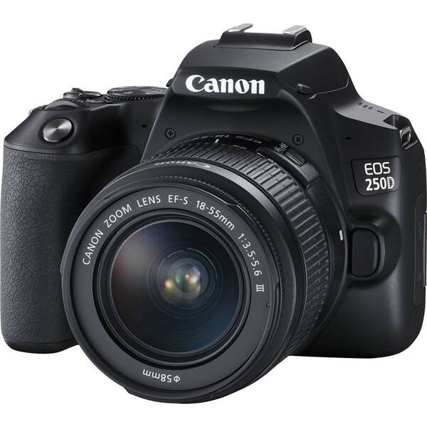 Digitální fotoaparát Canon EOS 250D + 18-55 DC III (3454C003) černý