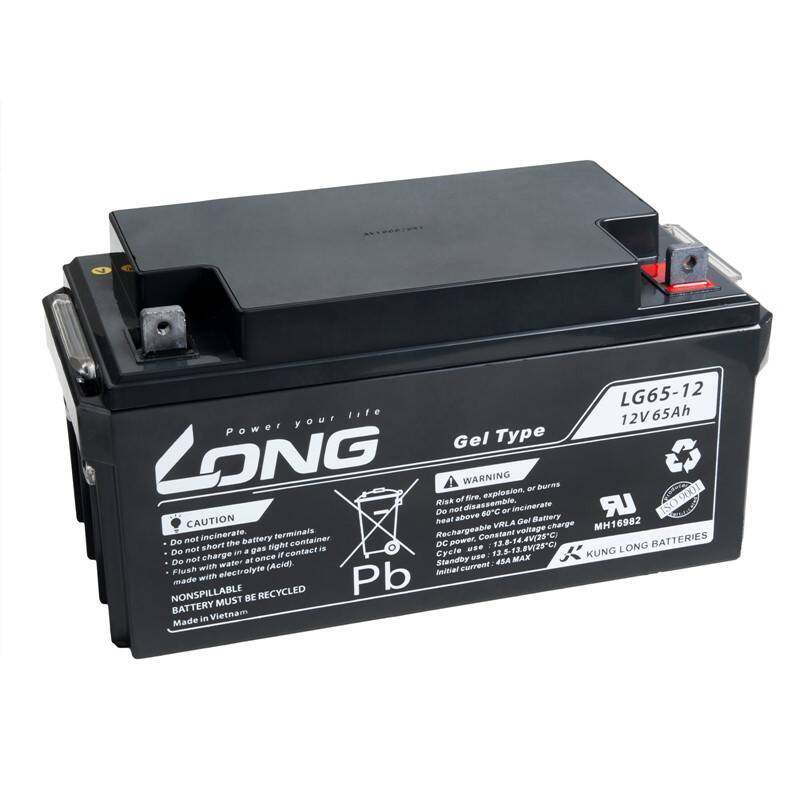 Obrázok Avacom Long 12V 65Ah M6 LongLife (WPL65-12AN) (PBLO-12V065-F8AL)