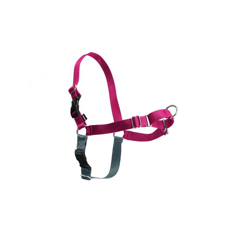 Obrázok PetSafe Easy Walk Harness Small