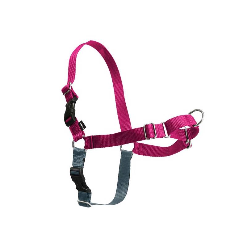 Obrázok PetSafe Easy Walk Harness Medium