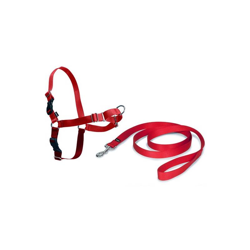 Obrázok PetSafe Easy Walk Harness Small červený