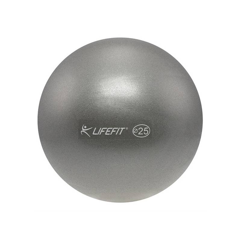 Obrázok Míč OVERBALL LIFEFIT 25cm, stříbrný