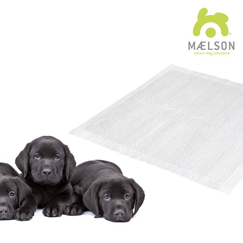 Obrázok Maelson Doggie Pad 60x90 cm / 10 kusů