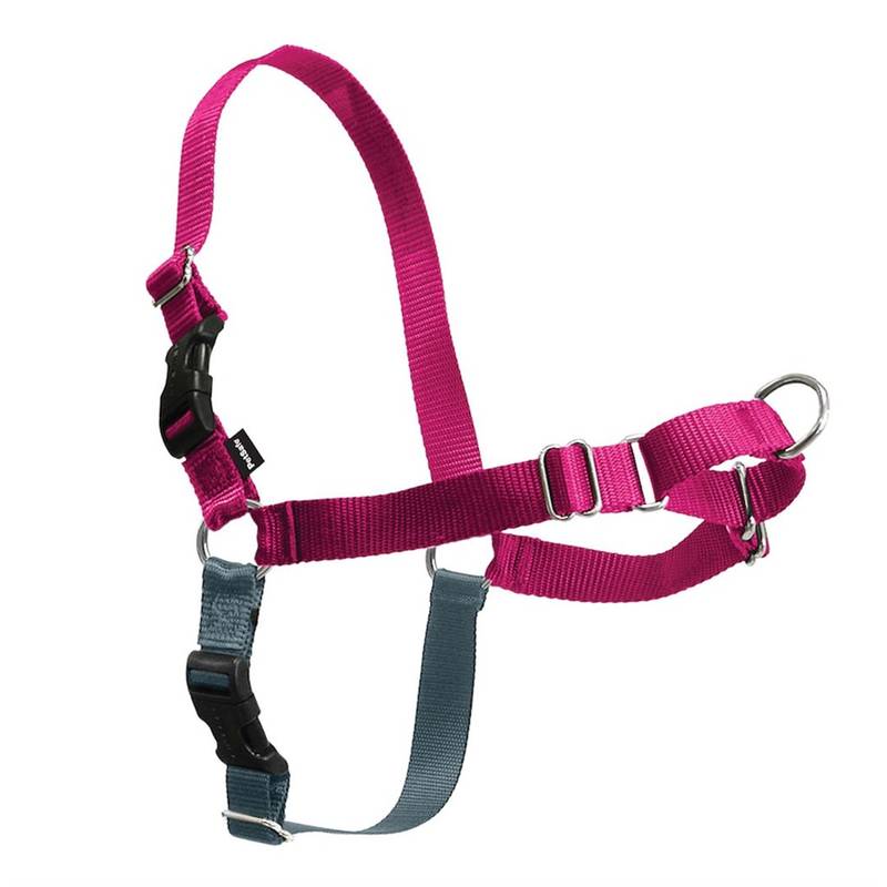 Obrázok PetSafe Easy Walk Harness Medium