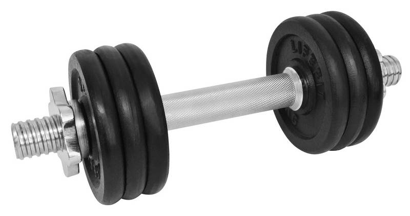 Obrázok Činka nakládací LIFEFIT jednoruční 8 kg, 30mm tyč/6x kotouč