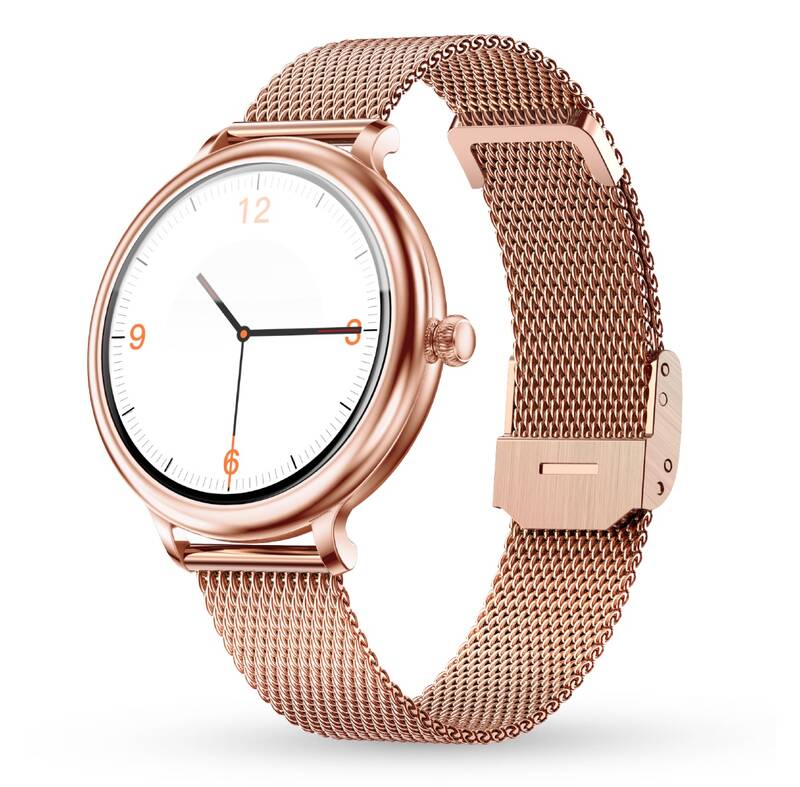 Obrázok Aligator Watch Grace (M4) rosegold (AW04RG)