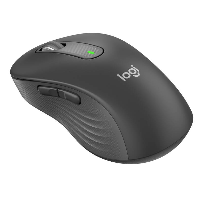 Obrázok Logitech Signature M650 L (910-006236) sivá